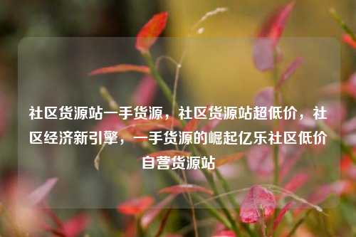 社区货源站一手货源	，社区货源站超低价，社区经济新引擎，一手货源的崛起亿乐社区低价自营货源站  第1张