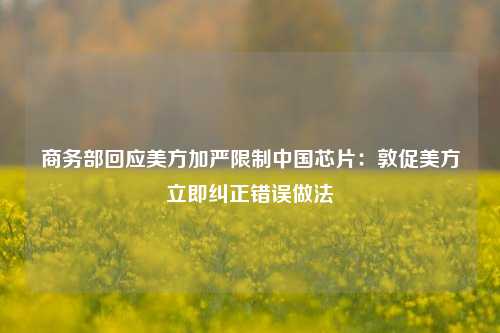 商务部回应美方加严限制中国芯片：敦促美方立即纠正错误做法  第1张