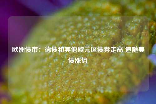 欧洲债市：德债和其他欧元区债券走高 追随美债涨势  第1张