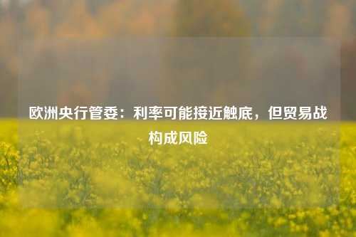 欧洲央行管委：利率可能接近触底，但贸易战构成风险  第1张