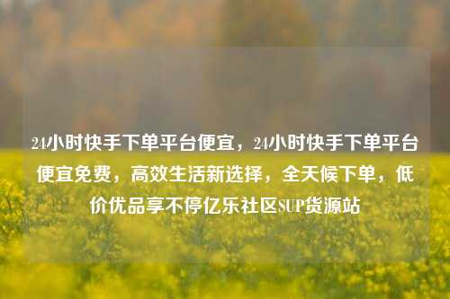 24小时快手下单平台便宜，24小时快手下单平台便宜免费，高效生活新选择	，全天候下单，低价优品享不停亿乐社区SUP货源站  第1张