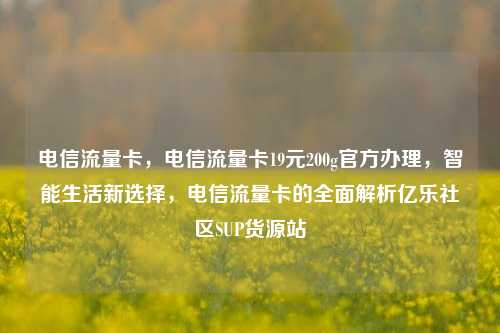 电信流量卡，电信流量卡19元200g官方办理，智能生活新选择，电信流量卡的全面解析亿乐社区SUP货源站  第1张