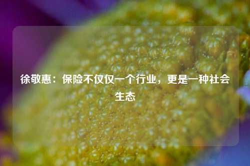徐敬惠：保险不仅仅一个行业，更是一种社会生态  第1张