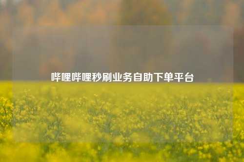 哔哩哔哩秒刷业务自助下单平台 第1张 哔哩哔哩秒刷业务自助下单平台 第1张